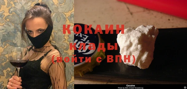 соль ск Козловка
