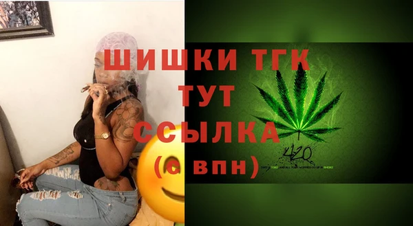 соль ск Козловка