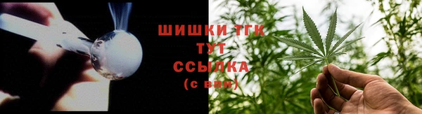 тгк Козельск