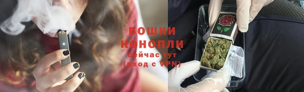 соль ск Козловка