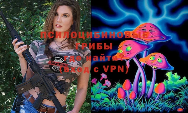 тгк Козельск