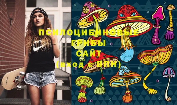 бошки Кодинск