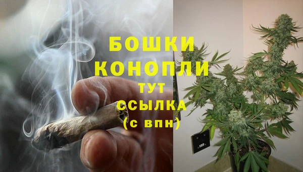 соль ск Козловка