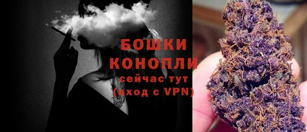 бошки Кодинск
