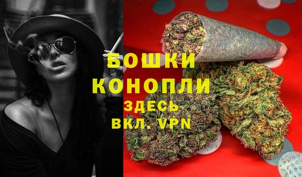 соль ск Козловка
