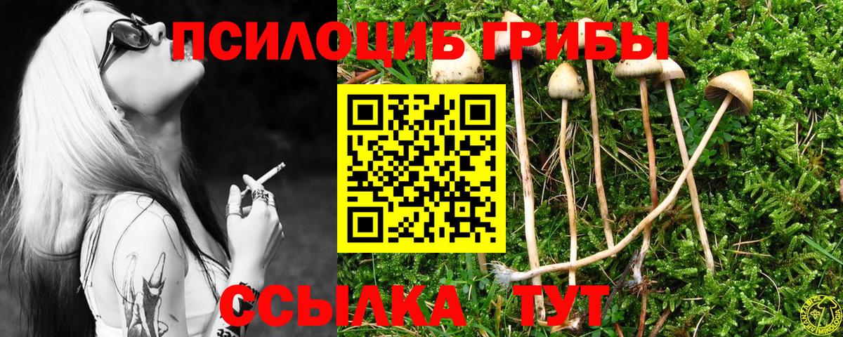 Псилоцибиновые грибы Psilocybine cubensis  Вход с VPN  Псилоцибиновые грибы ЛСД  Назарово 