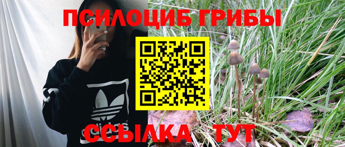 Псилоцибиновые грибы мицелий Назарово